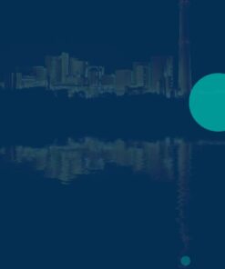 small incinerator Model HICLOVER YD30(PLC)