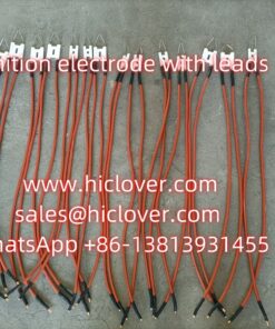 Ignition electrode with 2 leads